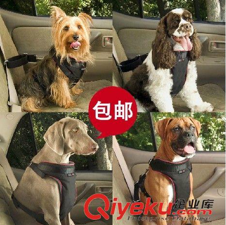 外出用品 solvit寵物大中小型犬汽車安全帶保險扣伸縮牽引繩多種規(guī)格包郵