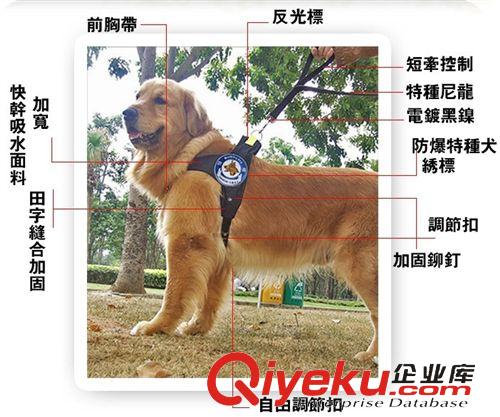 外出用品 chukchi中大型犬專用金毛薩摩耶大狗寵物牽引繩胸背帶套裝雙牽原始圖片2