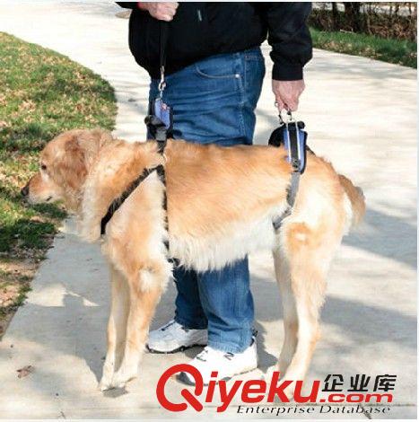 外出用品 solvit寵物老年犬髖關(guān)節(jié)后肢受傷狗狗特殊外出安全輔助牽引帶包郵