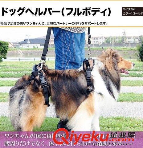 外出用品 solvit寵物老年犬髖關(guān)節(jié)后肢受傷狗狗特殊外出安全輔助牽引帶包郵