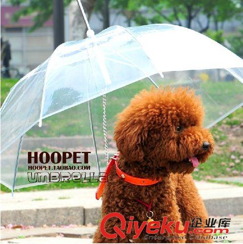 寵物日用品 新品快訂泰迪小型犬用帶牽引狗鏈遛狗雨傘 寵物雨傘狗雨衣雨披