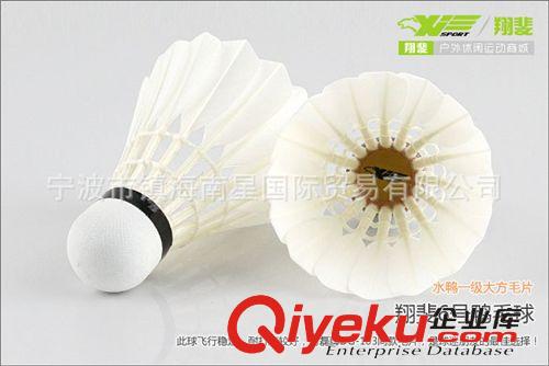 翔斐羽球 正品XFsport翔斐6號訓練羽毛球 穩定耐打 和磊牌103同款原始圖片2