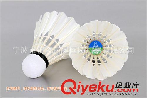 羽毛球 羽毛球 zp LEIPAI/磊牌DG-103訓(xùn)練耐打球 廠家直銷批發(fā)原始圖片2