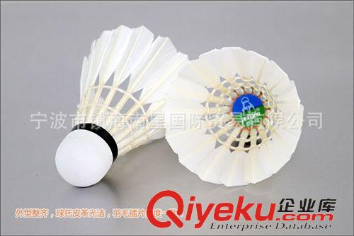 羽毛球 羽毛球 zpLEIPAI磊牌DG-70 耐打飛行穩定 俱樂部比賽球原始圖片2