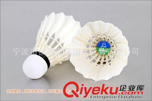 羽毛球 LEIPAI磊牌羽毛球 DG-90 zp 寧波總代理 廠家直銷批發原始圖片2