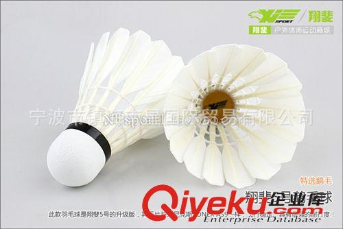 羽毛球 zp XFsport翔斐5號鵝毛羽毛球 耐打穩(wěn)定 批發(fā)價直銷原始圖片2