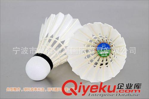 羽毛球 磊牌LEIPAI DG-60比賽級羽毛球  廠家直銷批發原始圖片2