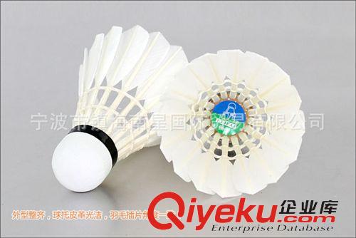 羽毛球 磊牌強羽羽毛球 zp 飛行穩定 耐打性好 廠家直銷批發