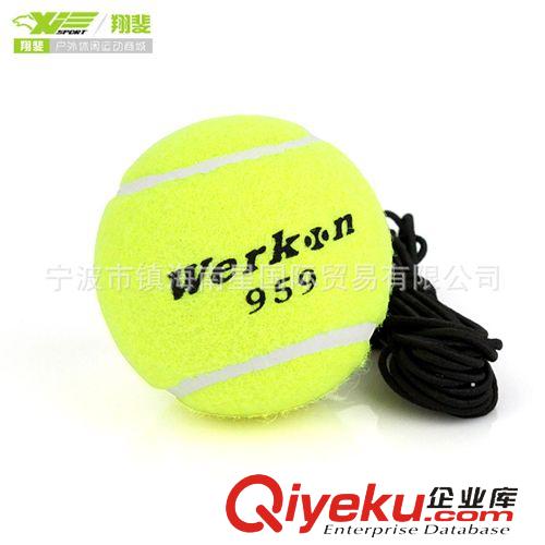 網球 正品Teloon天龍網球603訓練網球初級練習球氣足耐磨