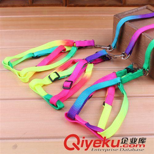 項圈/牽引繩 T廠家直銷 寵物用品 寵物牽引帶 狗鏈胸背帶 寵物牽引七彩繩原始圖片2