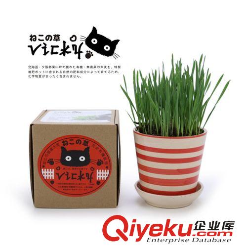 寵物食品/保健品 貓健康去除毛球栽種貓草貓薄荷北海道貓草/VICKY貓草正裝&補充裝