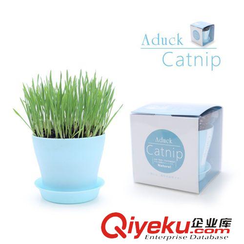 寵物食品/保健品 Aduck貓薄荷/日本流行貓tr興奮減壓調(diào)理品/貓開(kāi)心品/貓薄荷原葉