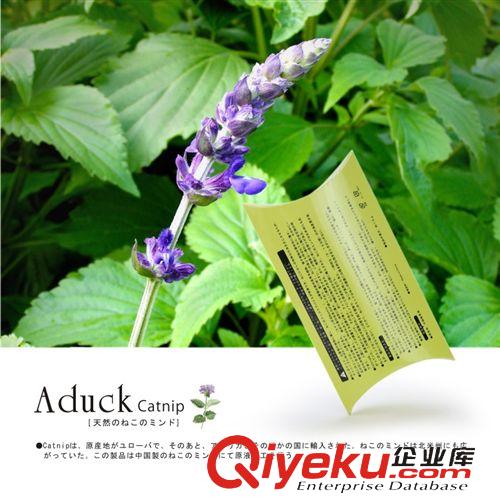 寵物玩具 Aduck貓薄荷/日本流行貓tr興奮減壓調(diào)理品/貓開(kāi)心品/貓薄荷原葉原始圖片2