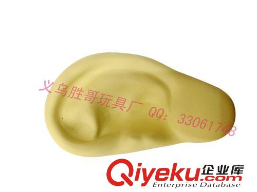 造型類 廠家直銷 PU發(fā)泡人體器官 PU發(fā)泡玩具 PU玩具禮品