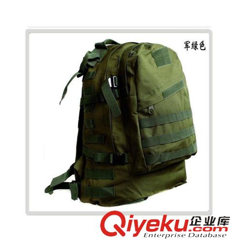 迷彩包 3D攻擊 雙肩登山包  雙肩包 戰(zhàn)術(shù)包 旅游包廠家批發(fā)原始圖片2