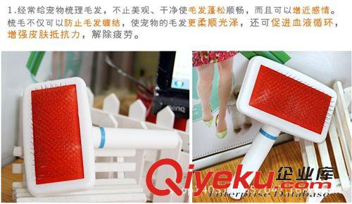  寵物清潔美容工具類 寵物用品批發中號狗梳子 白色塑柄密針梳 寵物專用梳子 批量供應原始圖片2
