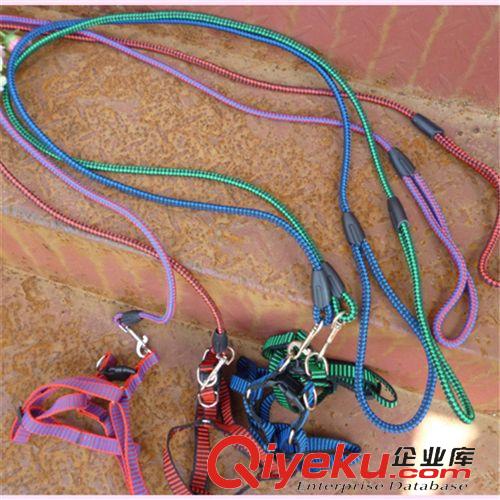 3月上新 狗狗嵌入兩條反光絲胸背帶 寵物牽引繩 小型犬牽引帶 寵物用品