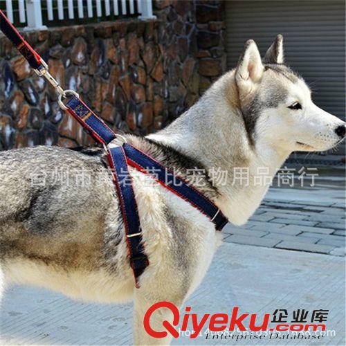 寵物牽引繩項圈 狗狗牽引繩 狗鏈大中小型犬胸背帶泰迪牛仔胸背帶 寵物用品原始圖片3