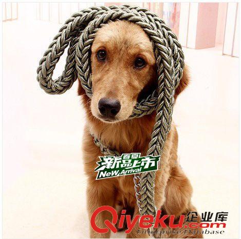 寵物牽引繩項圈 M號帶半P項圈大型犬牽引帶 八股編織 大狗寵物牽引繩 狗鏈原始圖片2