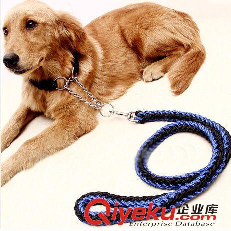 寵物牽引繩項圈 M號帶半P項圈大型犬牽引帶 八股編織 大狗寵物牽引繩 狗鏈原始圖片3