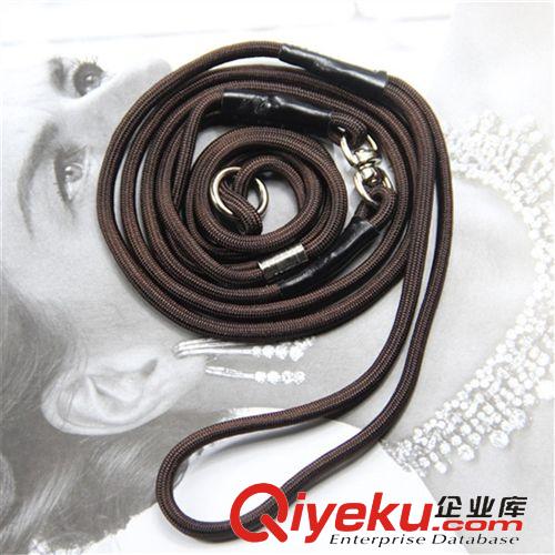 寵物牽引繩項圈 金熊貓 素色尼龍一體繩P鏈盒裝P繩寵物用品批發原始圖片3