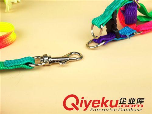 寵物牽引繩項圈 七彩胸背繩 寵物狗胸背帶 牽引繩 可愛七彩彩虹狗繩原始圖片3