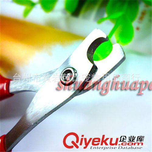 寵物日用品  貓貓指甲剪|寵物中小型犬狗狗/寵物指甲鉗小貓剪原始圖片2