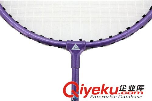 羽毛球拍、網球拍 蘭威lw-107體育用品 羽毛球拍羽拍 2支裝帶拍套送原始圖片2