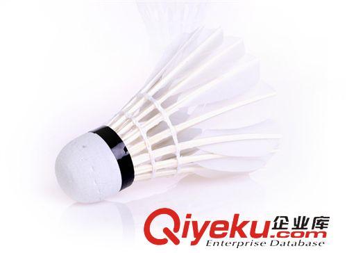 羽毛球 zp紅雙喜DHS 402A羽毛球原始圖片2