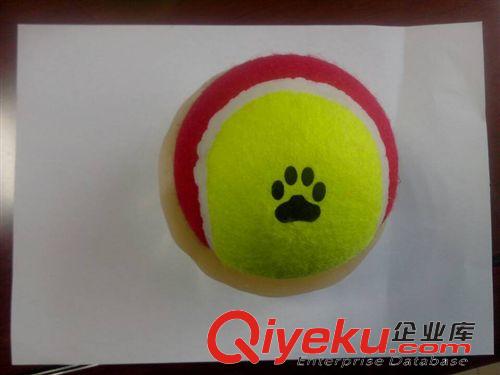 狗狗玩具 廠家直銷 4英寸寵物網(wǎng)球 狗狗們的啃咬玩具 支持 一件代發(fā)原始圖片2