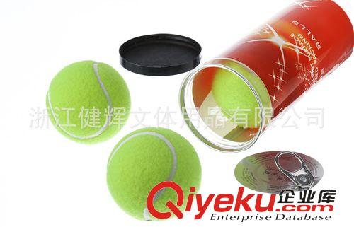 網球 廠家直銷網球(品牌：斯威登)