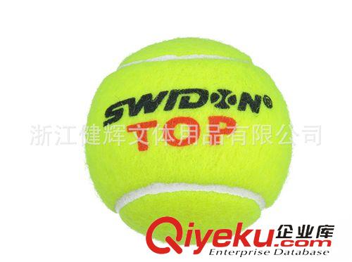 網(wǎng)球 專(zhuān)業(yè)比賽網(wǎng)球S-TOP P3(品牌：斯威登）