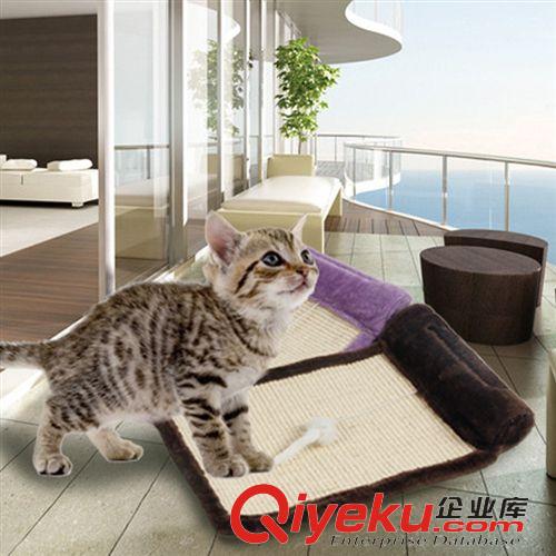 貓爬架區(qū) ELITE 美國伊麗 寵物貓咪窩 貓抓板貓爬架 小型爬樹 兩級跳臺