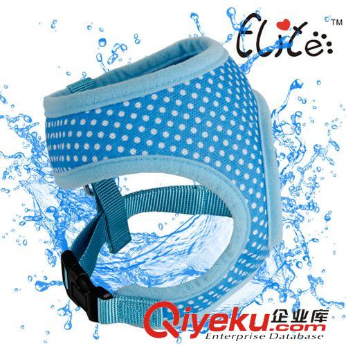 寵物出行 【新品快訂】可愛五星保護(hù)寵物胸背套裝 狗狗胸背牽引 寵物用品原始圖片3