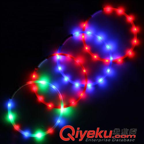 寵物出行 狗項圈/狗圈/寵物發(fā)光項圈/夜光/熒光圈/寵物用品/LED項圈USB充電原始圖片2