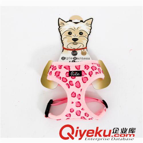 寵物出行 狗狗背心式牽引繩寵物胸背套泰迪貴賓小型犬寵物用品胸背帶套裝原始圖片2
