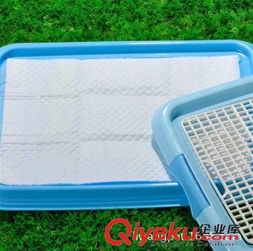 寵物清潔 tj寵物狗狗尿墊尿布除臭cj 超強(qiáng)吸水貓狗狗尿片尿不濕5506原始圖片3