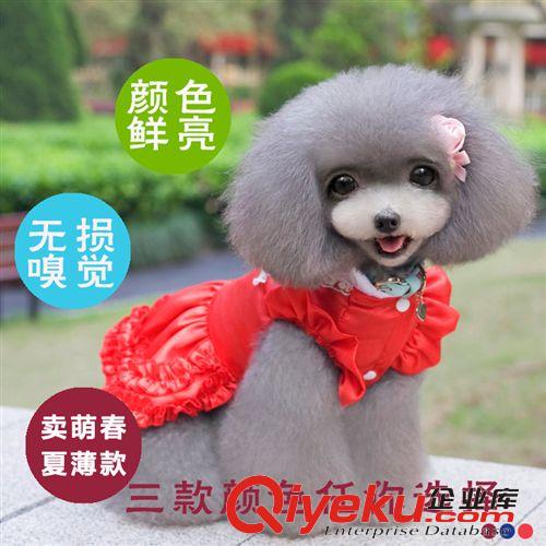 2015年4月新款 2015年新款 遛狗拴狗鋼絲栓狗樁 超值優惠套裝 狗鏈子 寵物用品