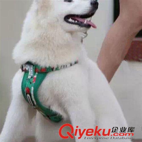 5折專區(qū) 廠家代理 多尼斯狗胸背帶 大小型犬狗背帶泰迪貴賓犬用胸背批發(fā)