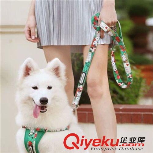 5折專區(qū) 供應(yīng)寵物用品 多尼斯?fàn)恳龓櫸锕方鹈瓗恳K狗鏈子 批發(fā)混批原始圖片2