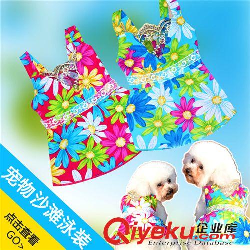 2015年春季新款 2015新款炫 彩雙環反光寵物項圈 寵物用品批發 廠家直銷
