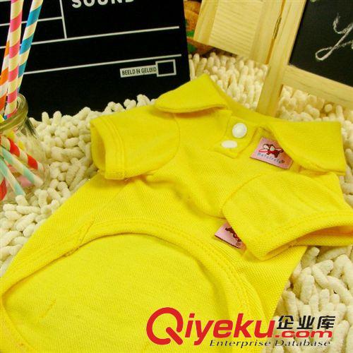 2015年春季新款 新款 寵物衣服多彩POLO衫 泰迪狗衣服比熊博美 夏春裝襯衫 直銷原始圖片3