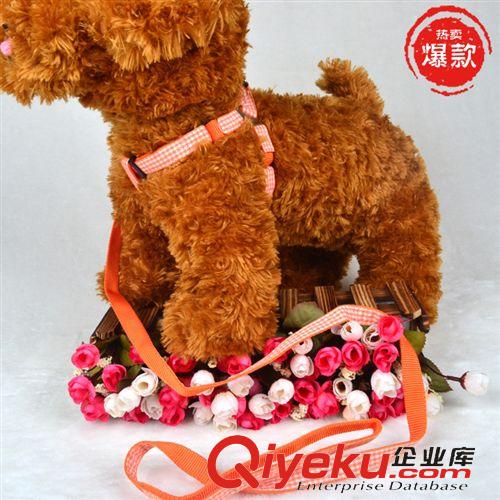 清倉專區 寵物用品飾品廠家直銷 貓狗吊牌掛件 識別牌 身份證牌 花朵型狗牌