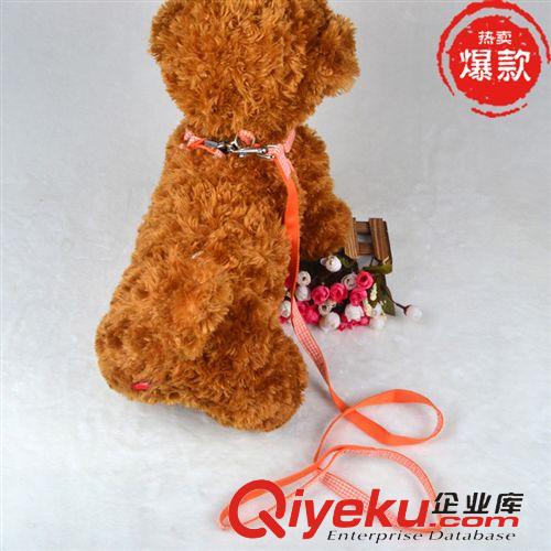 清倉專區 （滿就送）時尚gd尼龍刺繡胸背套裝 紙卡包裝 狗狗牽引套裝原始圖片2