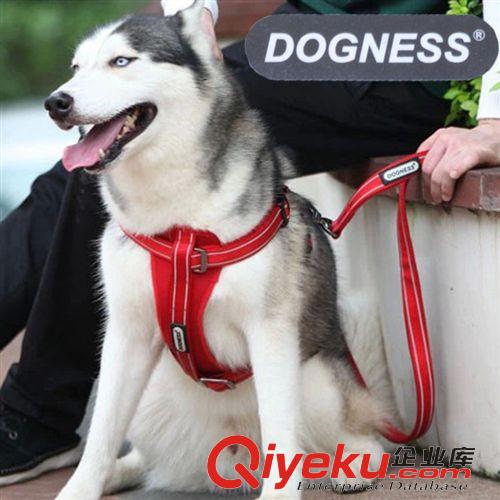 寵物牽引/項(xiàng)圈 廠家代理 多尼斯狗胸背帶 大小型犬狗背帶泰迪貴賓犬用胸背批發(fā)原始圖片2