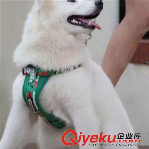 寵物牽引/項(xiàng)圈 廠家代理 多尼斯狗胸背帶 大小型犬狗背帶泰迪貴賓犬用胸背批發(fā)原始圖片3