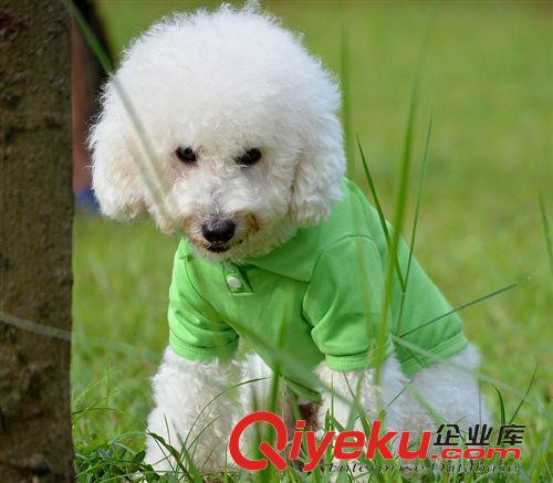 寵物衣服 新款 外貿(mào)寵物衣服 狗衣服 寵物服裝 狗狗背心 我愛爸媽背心-3原始圖片3