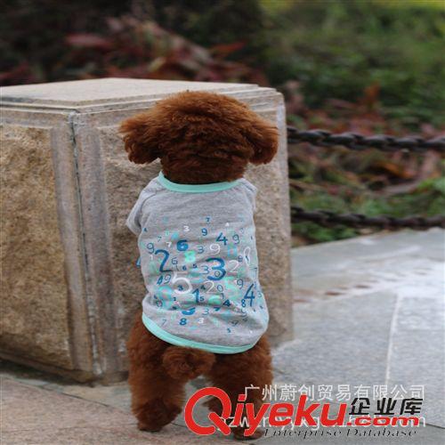 寵物衣服春夏裝 批發寵物衣服春夏小型犬泰迪貴賓比熊通用兩腳T恤衫 數字時代原始圖片2