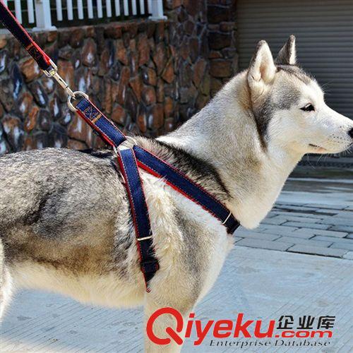 寵物牽引帶 廠家批發布質寵物牽引帶 泰迪貴賓中大型犬金毛牛仔布狗狗牽引繩
