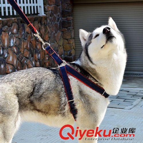 寵物牽引帶 廠家批發布質寵物牽引帶 泰迪貴賓中大型犬金毛牛仔布狗狗牽引繩原始圖片2